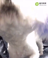 ���ܣ�ĸ�ģ���û��һ�꣬û̫��ʱ���չˣ�