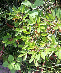 ����������������