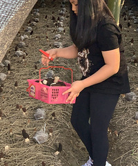 李湘带9岁女儿下乡采摘体验生活