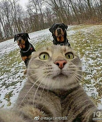 ���в�ͣ�� ��Ӧ���Ǿ仰 ��������͵��������� �� ?