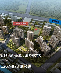 武汉金科城商铺怎么样?在哪里?仁和路金科城商铺投资好吗?