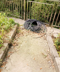 ���ҵĲƲ���������紵��ɹ���쵼�ڸ��ۣ�