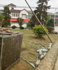 ���ҵĲƲ���������紵��ɹ���쵼�ڸ��ۣ�