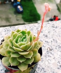 ��һ��������Ȼ��ѿ��Ӧ����ô��ѽ������