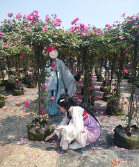 Ư����������