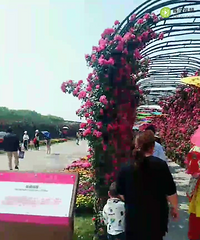 �����˶�ô