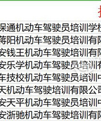 2019年临安驾校培训通过率排名