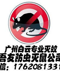 白云灭鼠公司找吾友防虫灭鼠靠谱吗