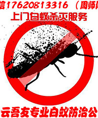 白云灭白蚁公司找吾友防虫灭鼠可靠吗