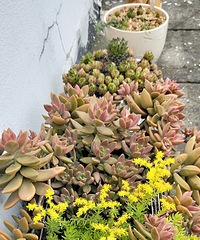 ���Ǵ��ջ�������������Ķ�����һȺ��