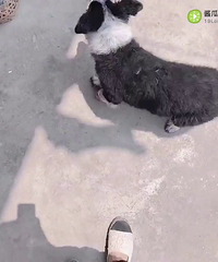 ����Ҫ��Ǩ�ˣ������������˳�