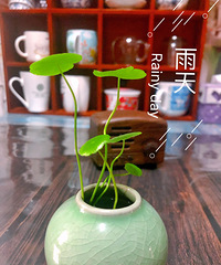 最讨厌的梅雨季节又快到了