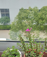 ͬ�����裬ͬ��������ͬ���Ǵ��������ϵ���