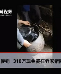 泡菜坛子里挖出310万现金 ,连警察也惊呆了!