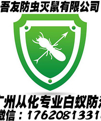 从化白蚁防治中心哪家好