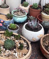 �����Ҽҵ�С����