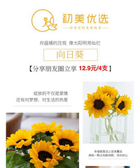 ��Ի���Ź�