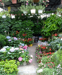 �������Ļ����г������