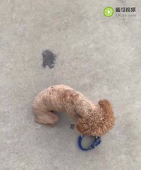 ˭�ҹ����ˣ�����ϵ