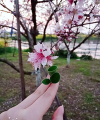 �ǳ����ţ�лл