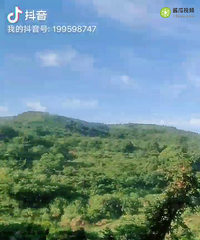 ��ϵϦ��һ������