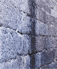 �µǽ��ع���ǽ�ϵĽ��Ϲų�