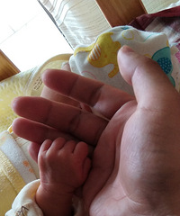 ����ϼ���С����