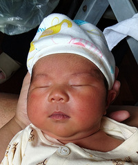 ����ϼ���С����