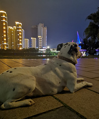 ë���ӵ������������ģ���ʹ������ɵ��������