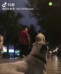 ë���ӵ������������ģ���ʹ������ɵ��������