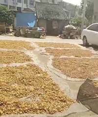 �����ӳԵĽ�Ƭ�㶨��