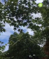 度假?旅居?投资?钱越来越贬值还不如买套
