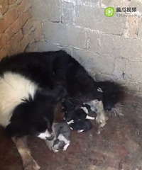 ��������һ�ѱ���