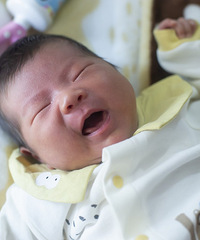 ����ϼ���С����