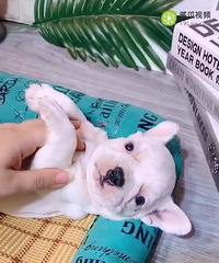 ȫ�׷����ܵ� �ؼ�1288