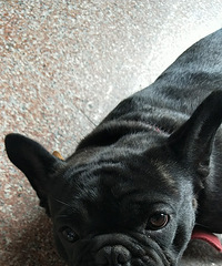 Ů�� �Ը���� ճ��  ����1�꣬��������ϵ