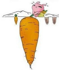 ��������æ��