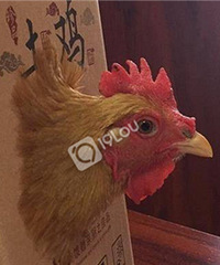 【活动】你们公司端午都发了啥?