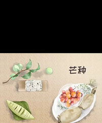 今日芒种