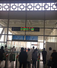 去流浪