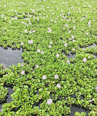 һ�ط羰��һ�����飡