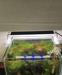 ˮ������