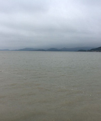 С��Ƥ����Ȼѧ����Ӿ����