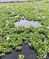 һ�ط羰��һ�����飡