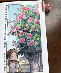 生活手账 更新 6月11日