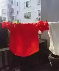 夏天穿什么颜色衣服更凉快?竟然不是白色,是它!