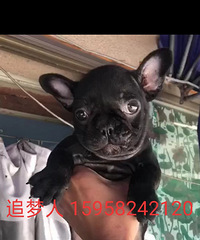 ���ڷ������¼�