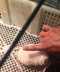 ������ưײ������ڶ������