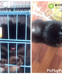 ������ưײ������ڶ������