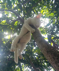 ��һ�˯�ĺð���